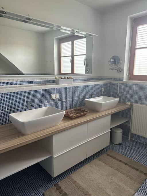 Freundliche Wohnung Naehe Weinstrasse Fuer 5 Personen Wagna Dış mekan fotoğraf
